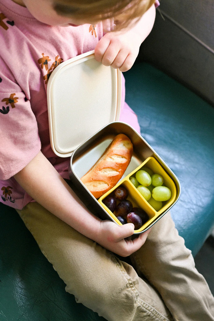 The Cotton Cloud Stainless Steel Madkasse, Funky Dogs