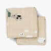 MUSLIN65-3053979-2173_2.jpg