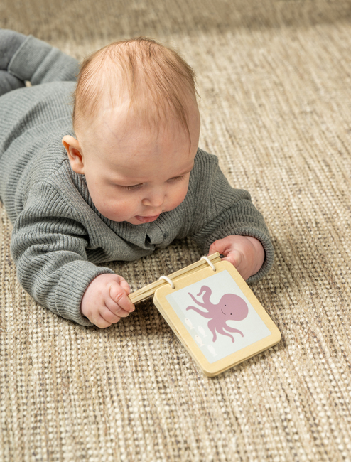 Jabadabado Aktivitetskasse 6-12 Måneder