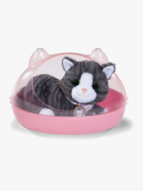 BABY born My Cat Cookie Bamse med Boks