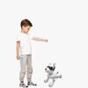 DOG01-2823_4a.jpg