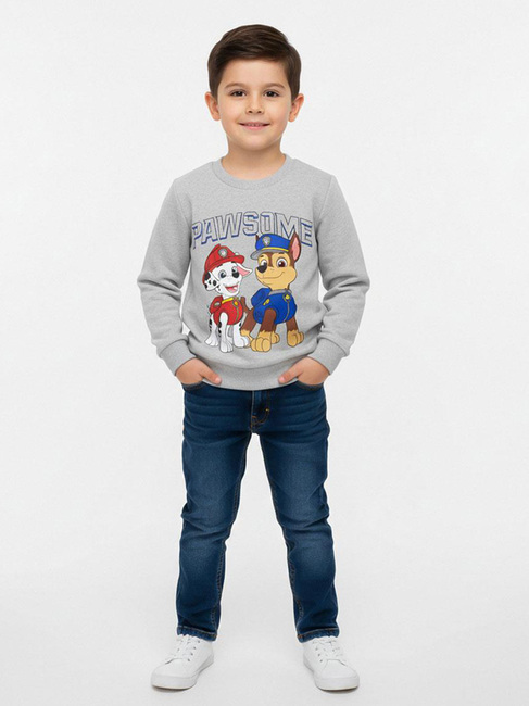 Paw Patrol Trøje, Grå 2900002915-53-4656_5.jpg