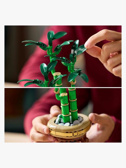 LEGO Botanicals 10344 Lykkebambus