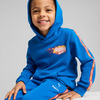 Puma Hot Wheels Hættetrøje, Blå