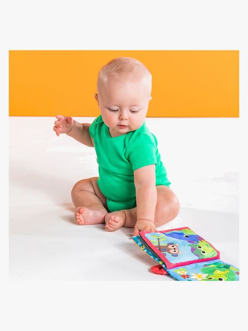 Bright Starts Legetøjsbog, Multi