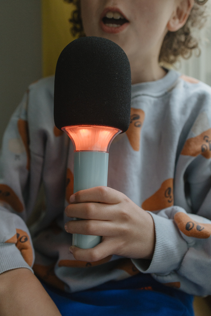 Kidywolf KIDYMIC Karaokemikrofon All-in-One, Grøn