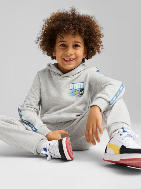 Puma Hot Wheels Hættetrøje, Grå