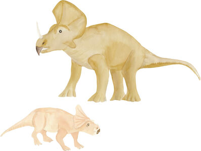 That's Mine Wallsticker Triceratops, Brown/Rose