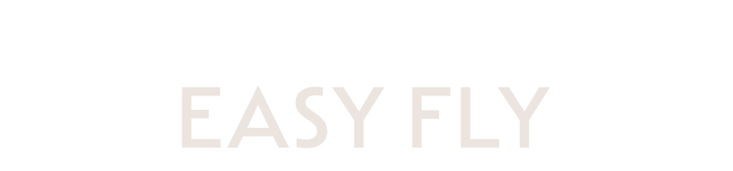 Beemoo_Strollerseries_logo_EasyFly.png