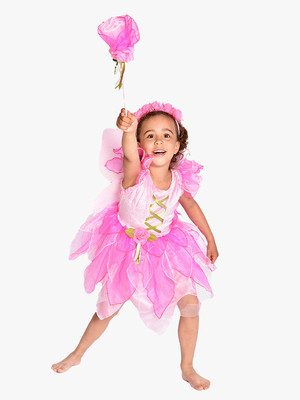 Den Goda Fen Kostume Fe med Tilbehør 98-104 cm, Pink