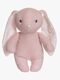 Teddykompaniet Bamse Kanin Elina 20 cm, Misty rose