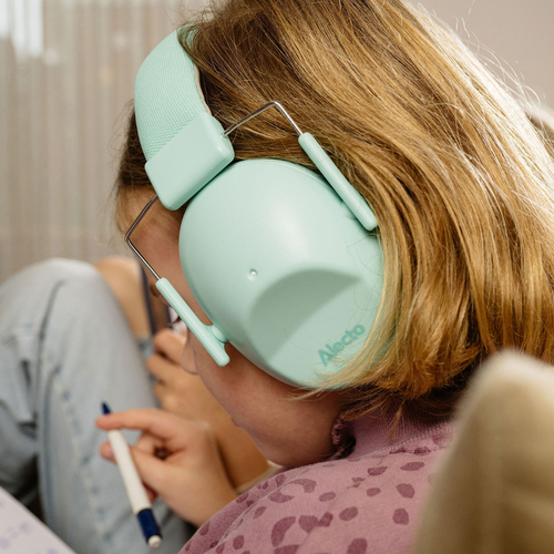 BV73-GR-4742_4a.jpg