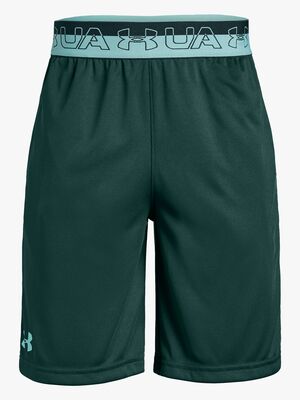 Under Armour Prototype Elastic Shorts, Batik