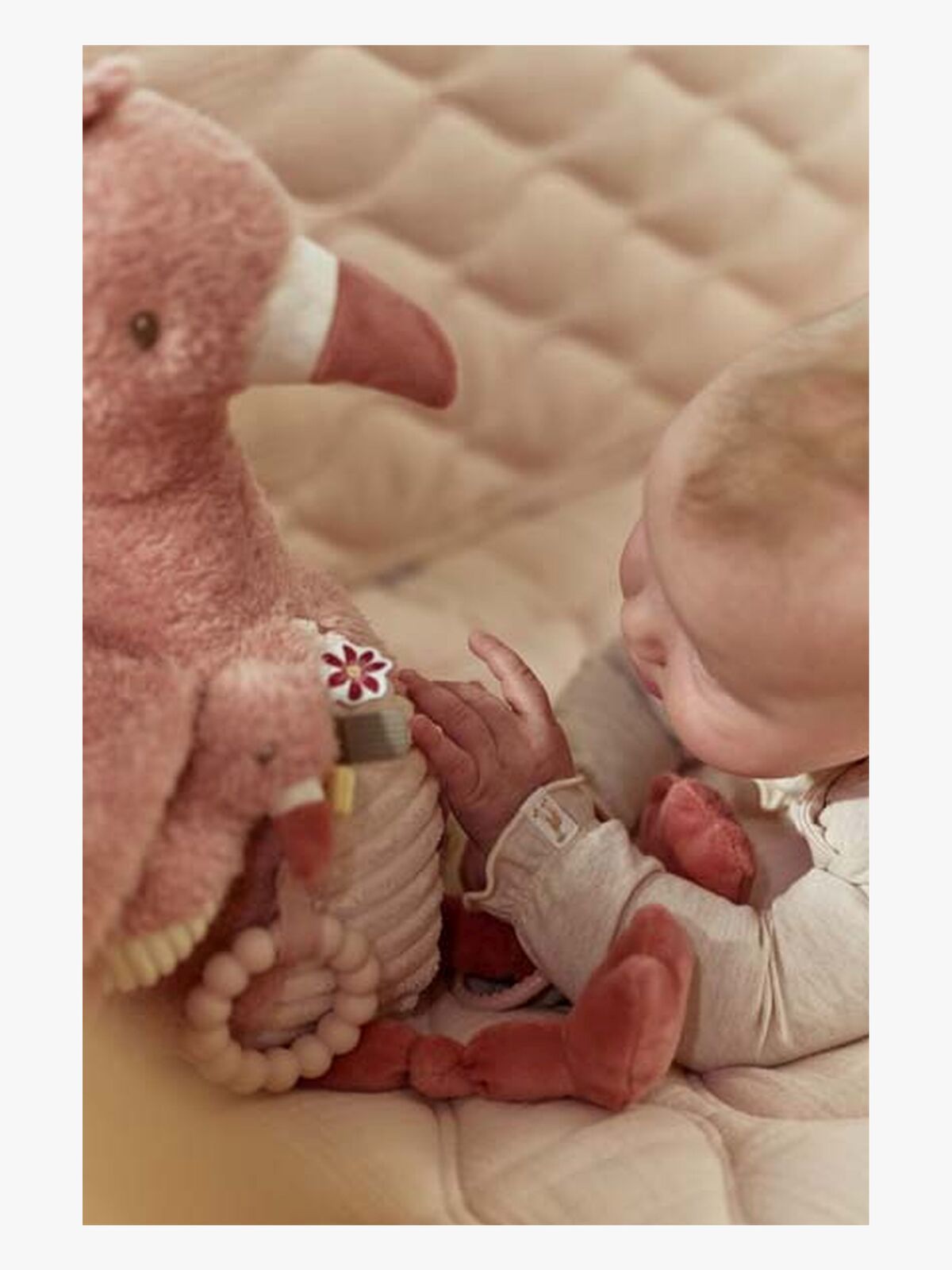 LD8321-flamingo-4563_4c.jpg