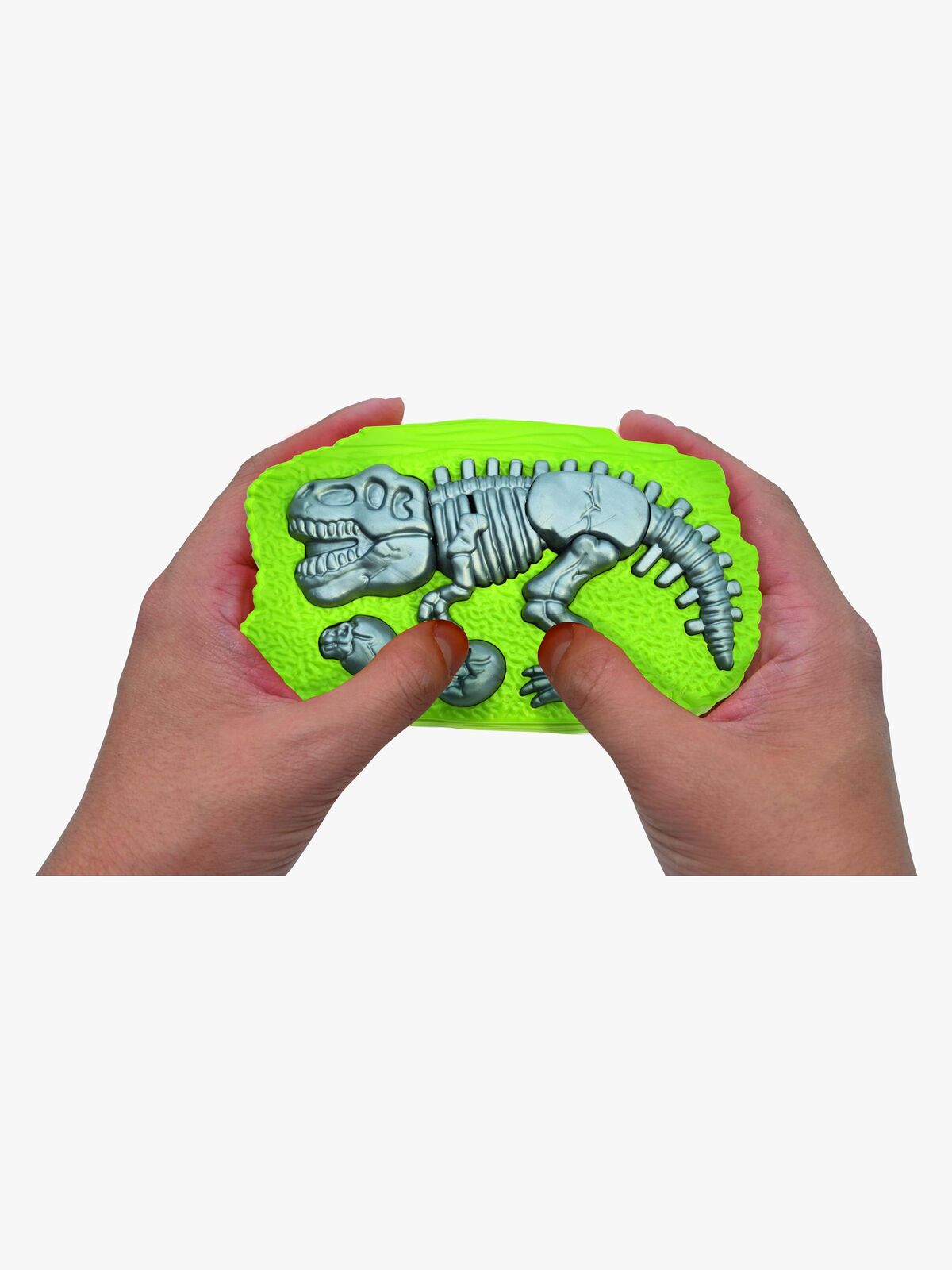 DINO02-2823_4a.jpg