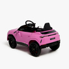 8540099-2R-PINK-2896_2.jpg