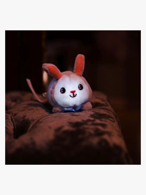 Pabobo Skakis Natlampe Kanin