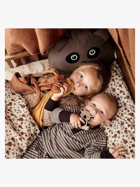 nuuroo Bana Pude Panda, Falcon