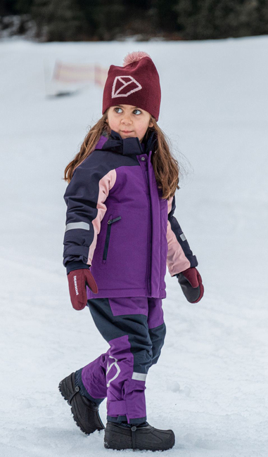 Didriksons Idre Overtræksbukser, Royal Purple