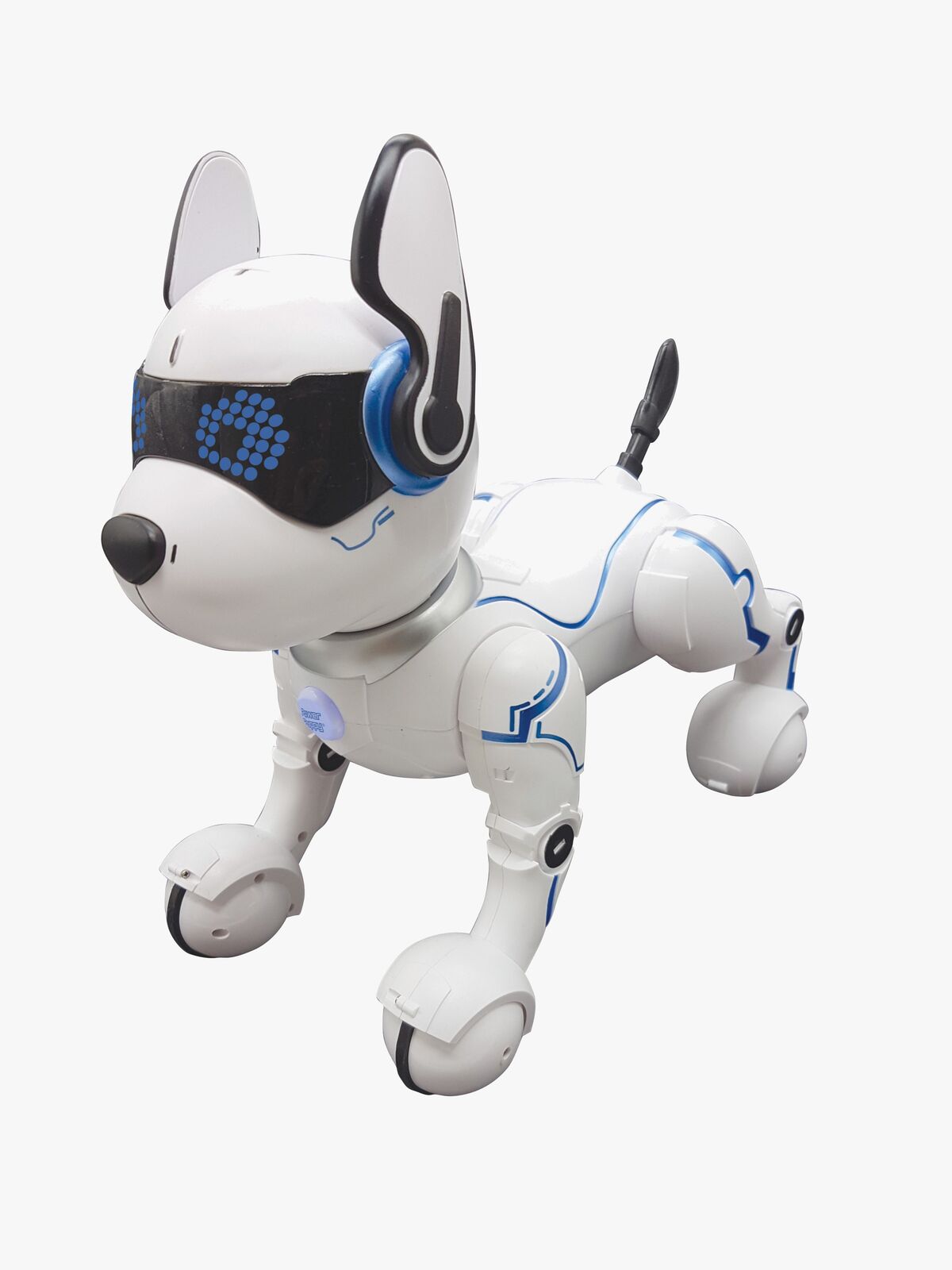 DOG01-2823_1.jpg