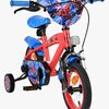CB12B-20502-1681_3b.jpg