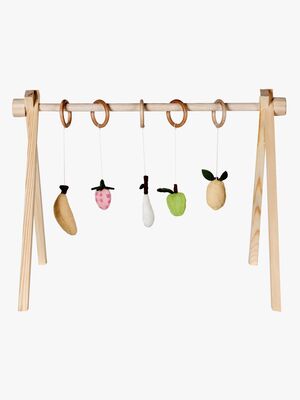 Quax Fruit Aktivitetslegetøj 5 Dele