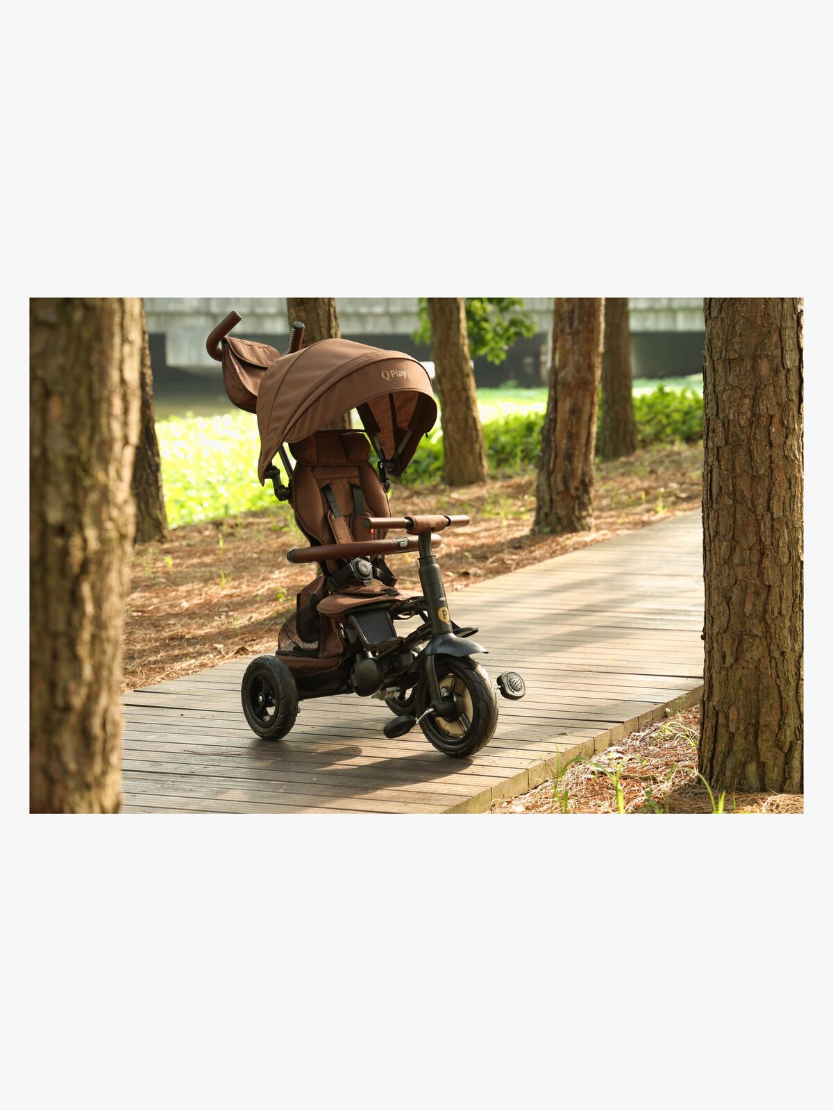 S380-17-Brown-1895_4b.jpg