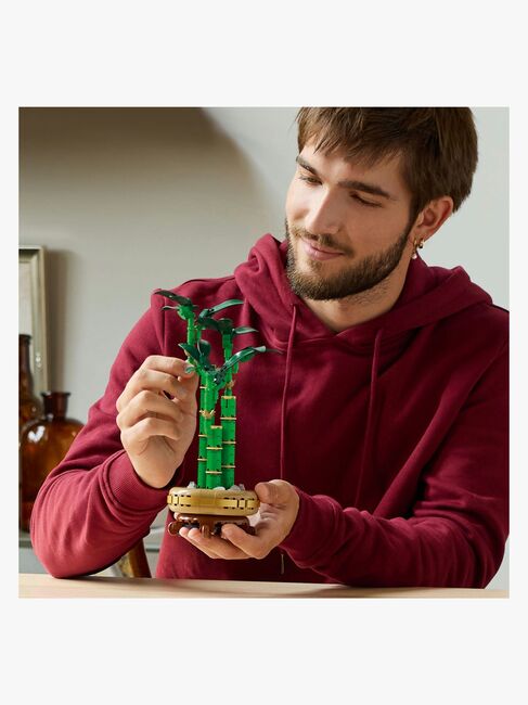 LEGO Botanicals 10344 Lykkebambus