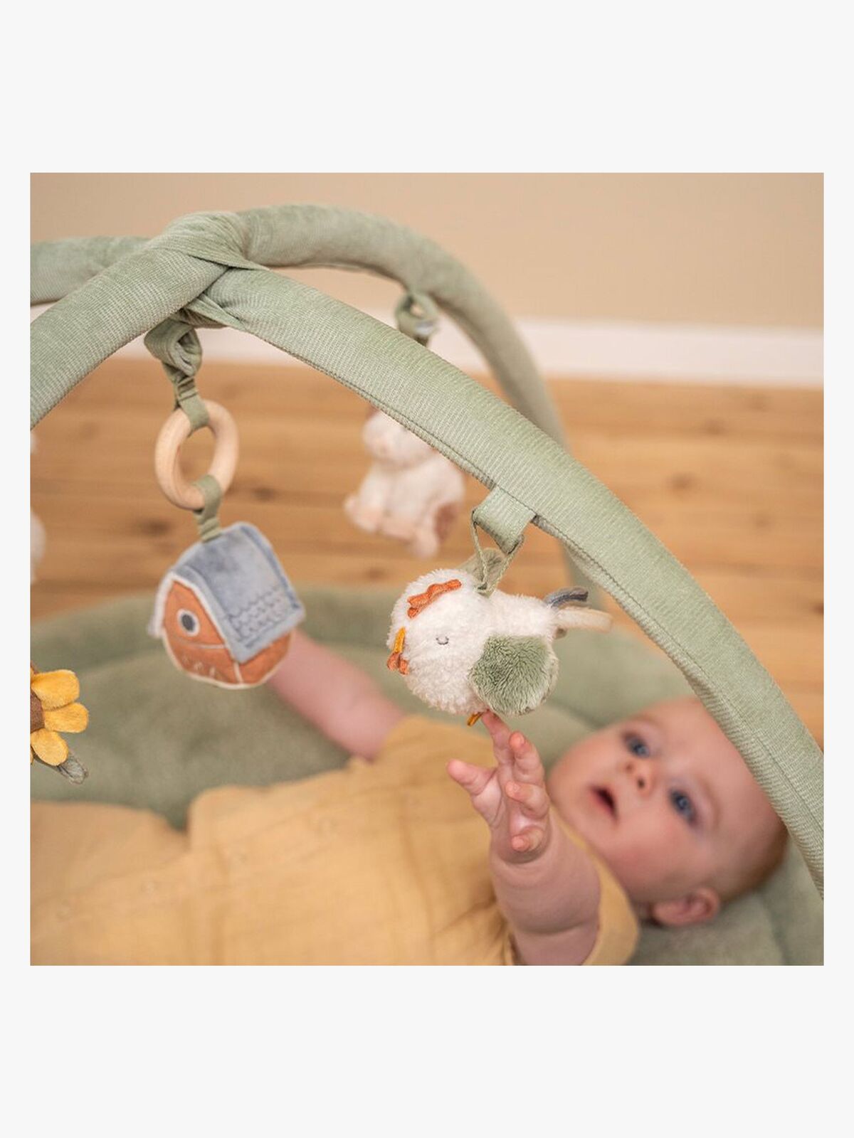 BABYGYM-LD8817-4563_4a.jpg