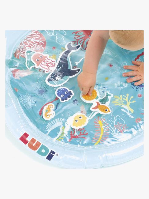 Ludi Vandlegetæppe, Turkis