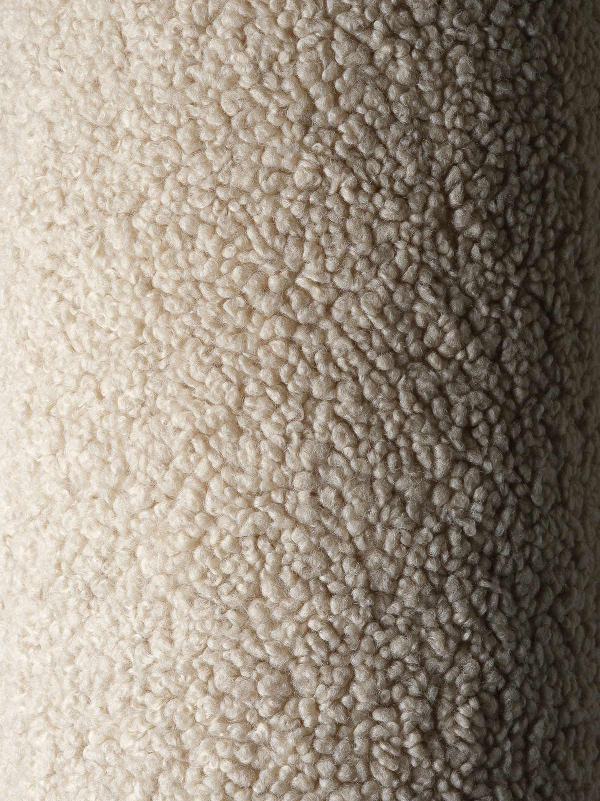 W599113-4583_3a.jpg