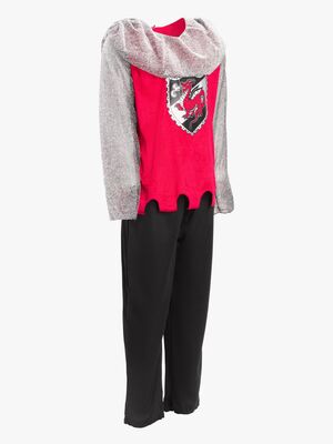 Cloudberry Castle Kostume Ridder