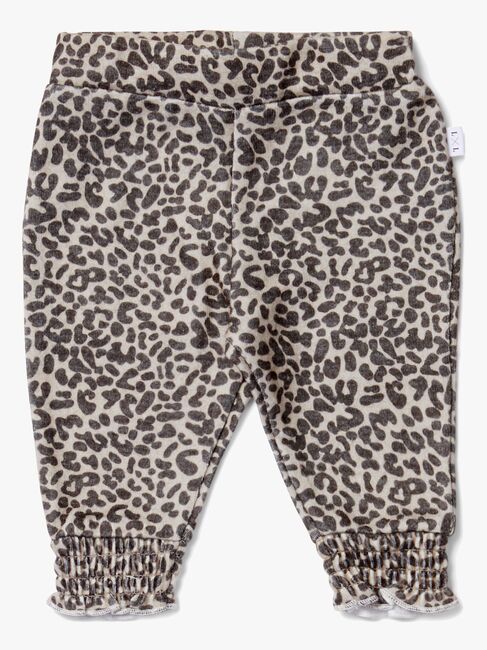 Luca & Lola Paola Bukser Baby, Leopard