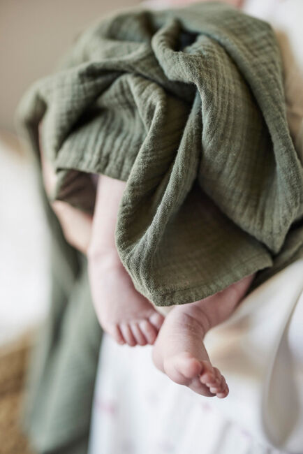 Oh, Poppy! Holly Stofble 2-Pak, Fresh Vanilla/ Forest Green