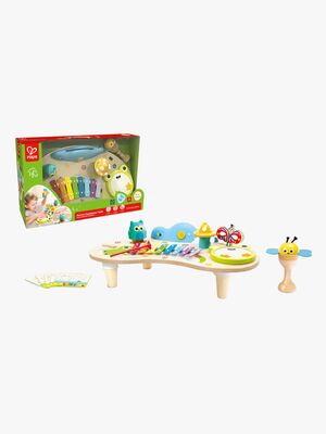 Hape Legetøjsinstrument Symfonibord 8-i-1