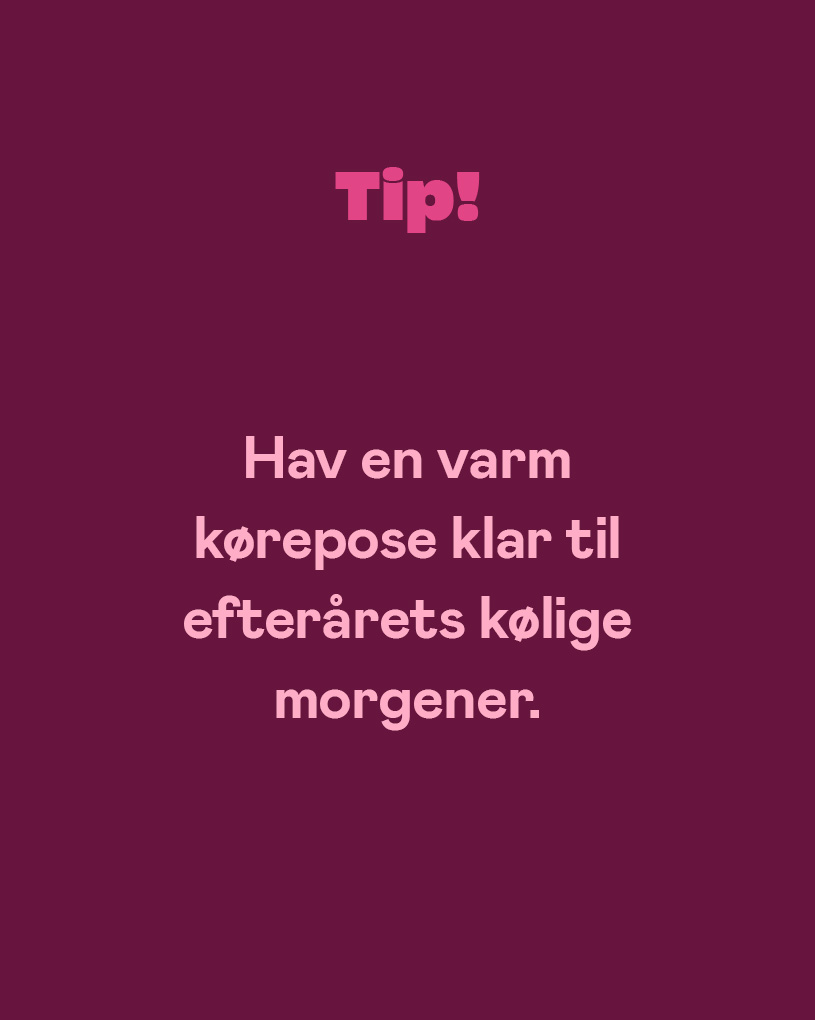 Höst_Tips_Åkpåse-DK.jpg