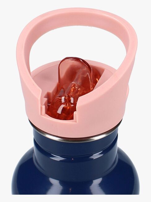 Disney Frozen 2 Drikkedunk 500ml Take A Sip, Blå