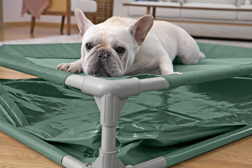 Bestway Pool til Dyr Fetchin' Fun 2-i-1