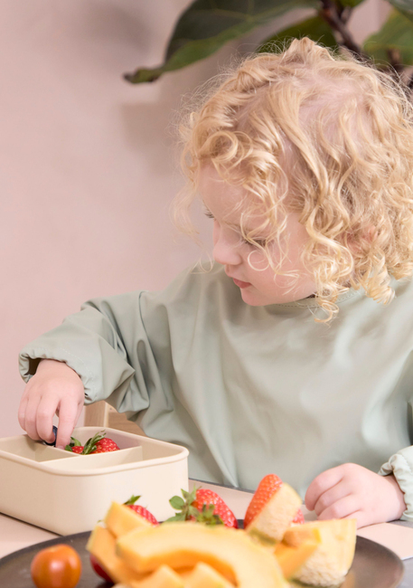 FILIBABBA  Langærmet Hagesmæk, Desert Sage
