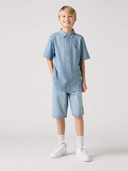 Levi's LVB Skate Shorts, From Scratch