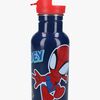 Spidey And His Amazing Friends  Rustfrit stål Drikkedunk 500ml, Take a Sip