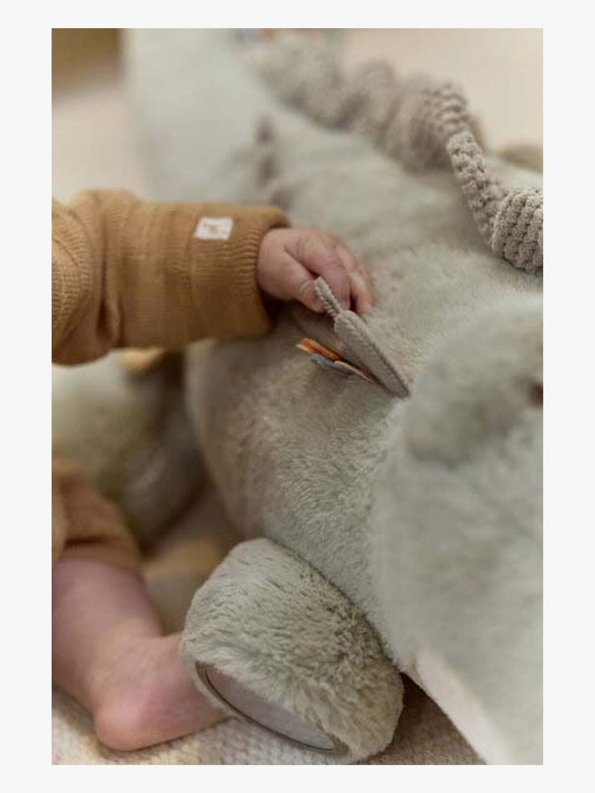 LD8321-krokodil-4563_3c.jpg