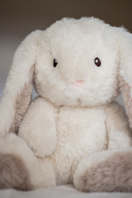 Teddykompaniet Bamse Mocca Kanin 34 cm, Creme