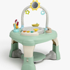 BG-2541-GREENGREY-2012_1.jpg
