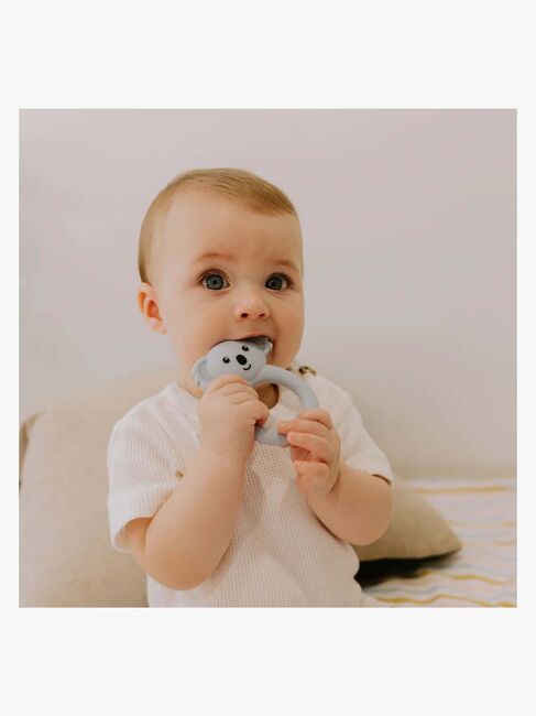 Jellystone Designs  Koala Bidering Silikone, Joey Blue