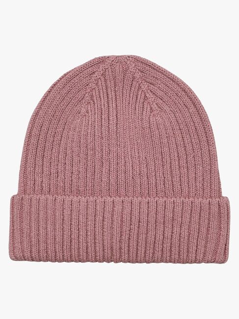 CeLaVi Hue, Nostalgia Rose