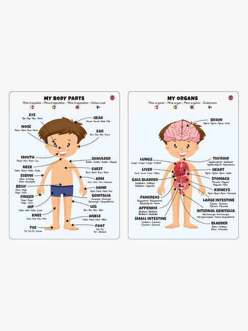 Barbo Toys Body Puslespil Dreng 36 Brikker