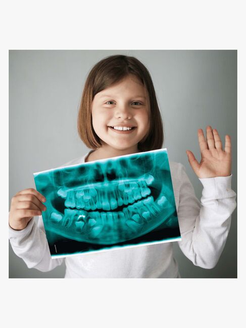 Science4you Første Tandlægesæt