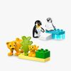 LEGO DUPLO Town 10442 Vilde dyrefamilier: pingviner og løver