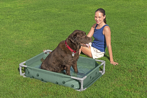 Bestway Pool til Dyr Fetchin' Fun 2-i-1